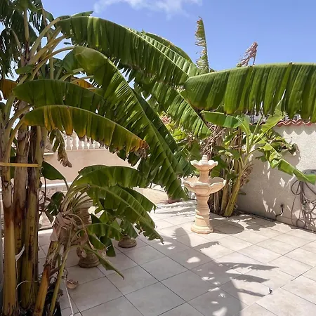 Semesterbostad Bright Palm Msgn *